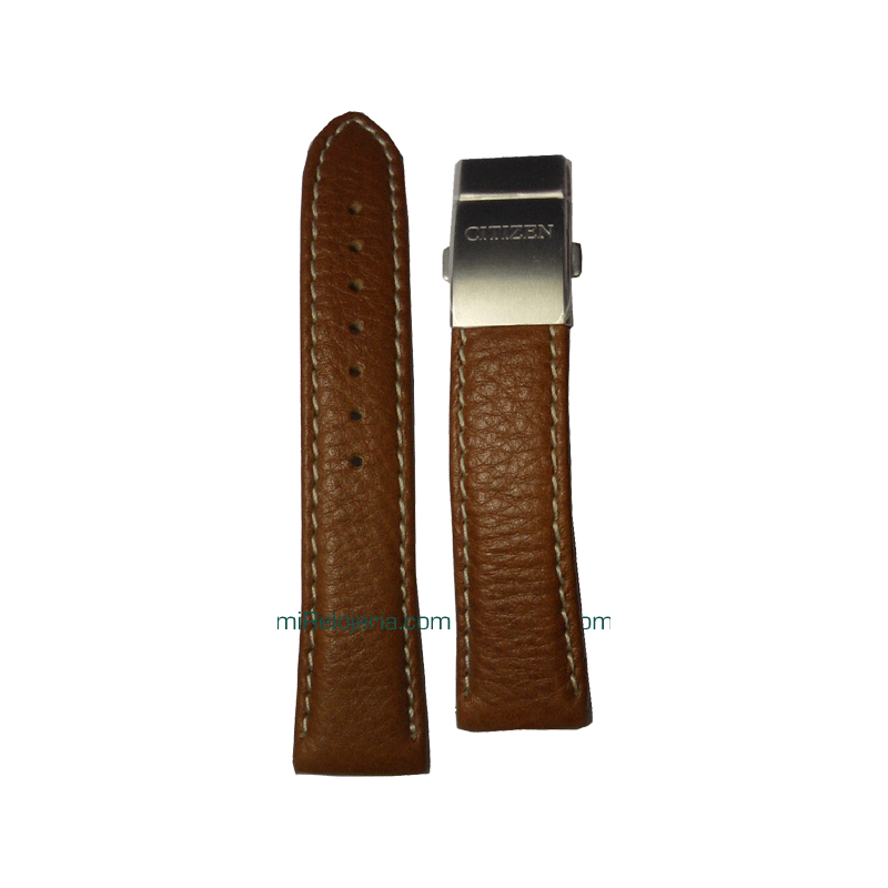 Promaster AS2031 Strap