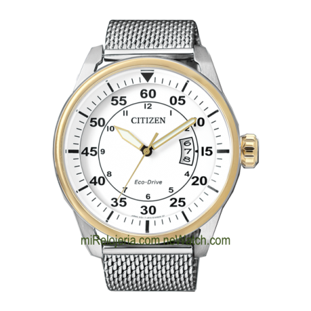Eco-Drive OF Aviator