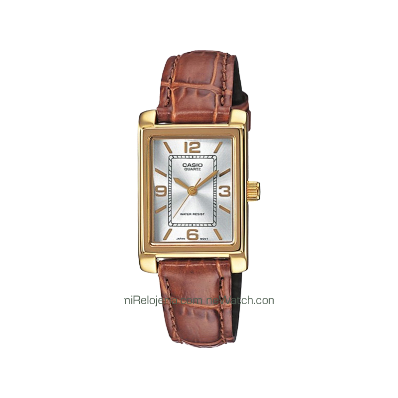 Casio Collection Chapado