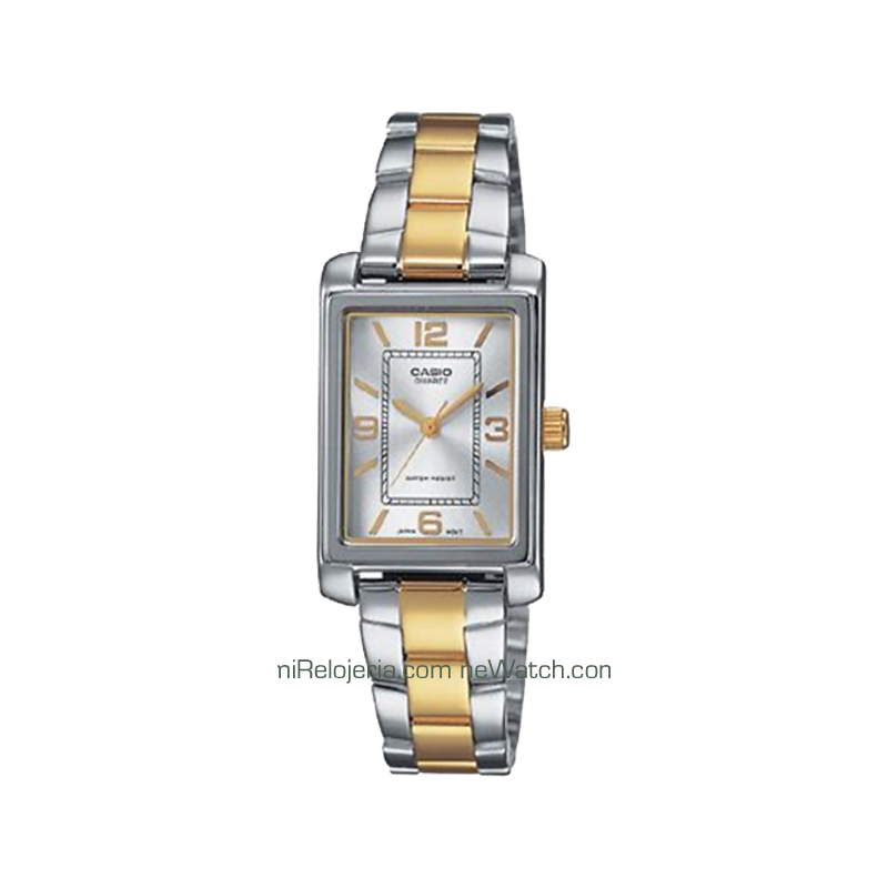 Casio Collection Chapado