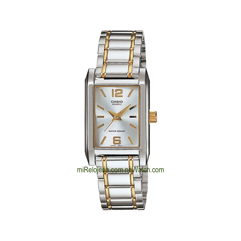 Casio Collection Chapado