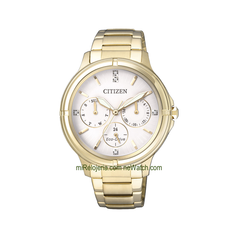 Eco-Drive Multifunction Lady
