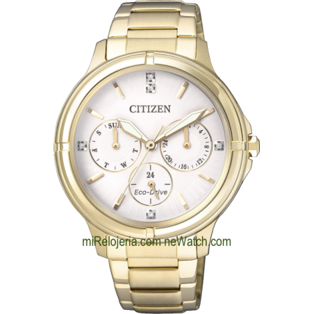 Eco-Drive Multifunction Lady