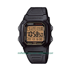 Men's Standard 10 years