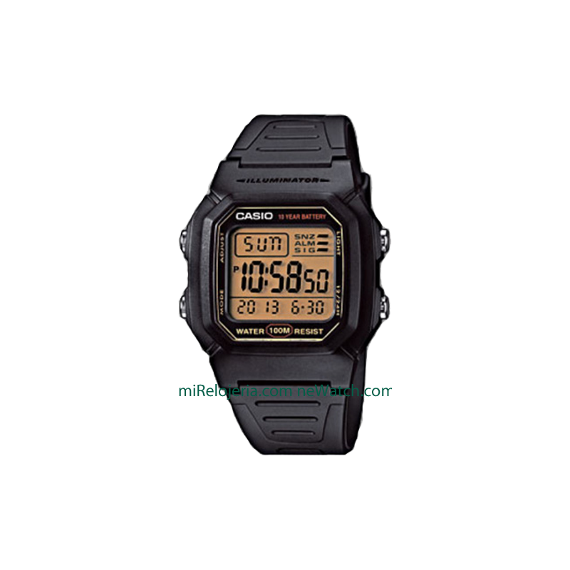 Básico caballero 10 años