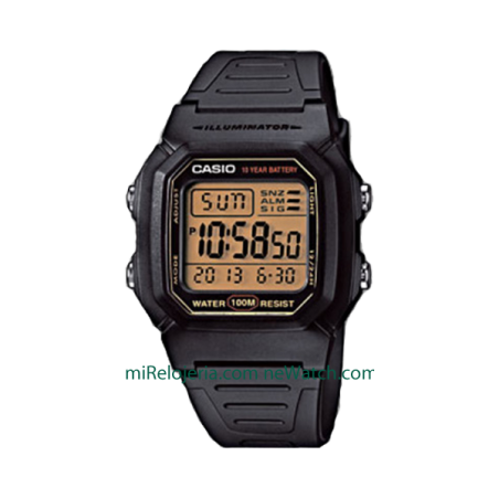 Básico caballero 10 años