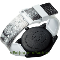 Smile Solar Charles Robert Darwin