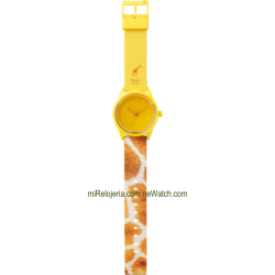 Smile Solar Nigerian Giraffe