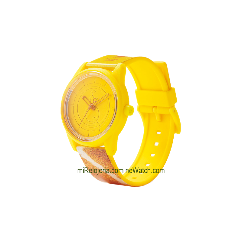 Smile Solar Nigerian Giraffe