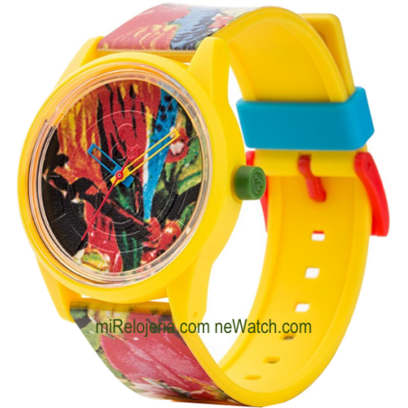 SmileSolar The SPICE Series