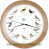 Wall Clock Birds Radio Controlled
