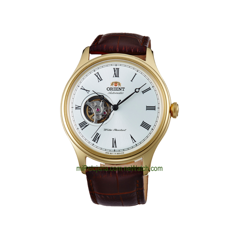 Classic Automatic Envoy