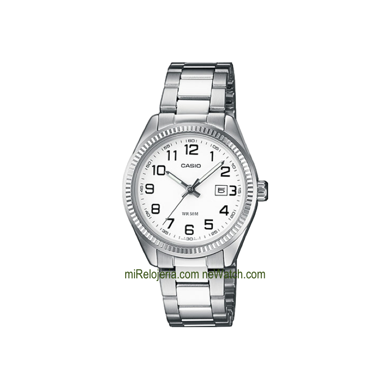 Casio Collection Analógico