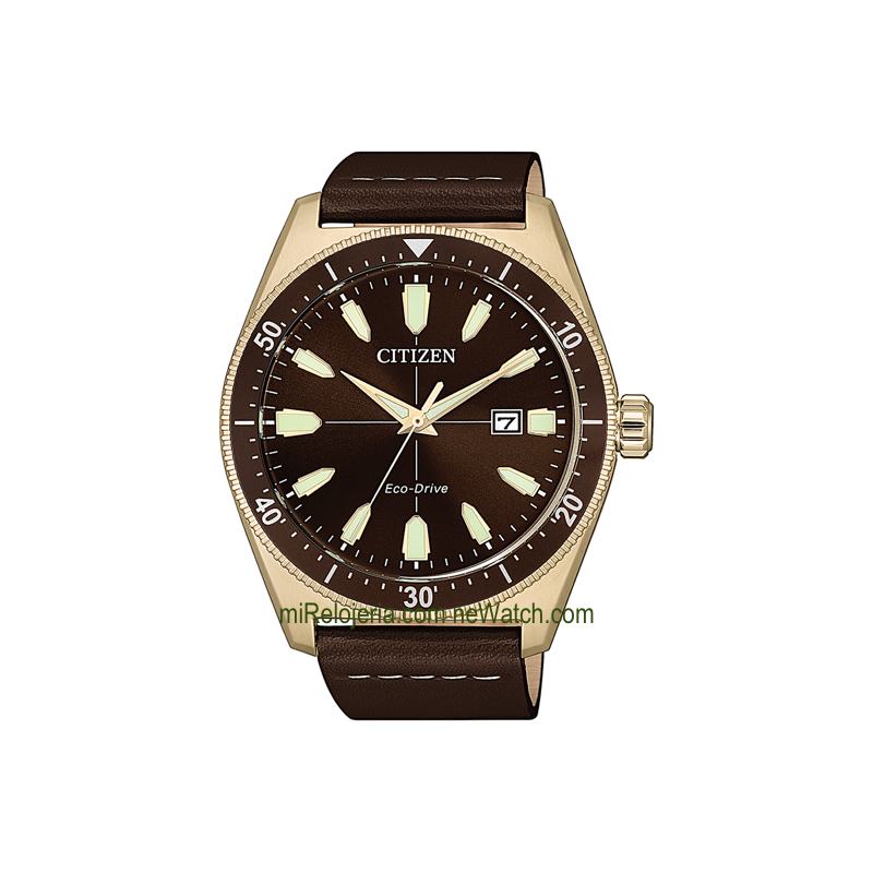 Eco-Drive OF Collection 2019