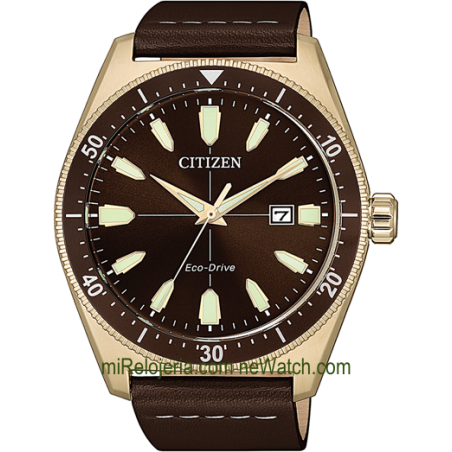 Eco-Drive OF Collection 2019