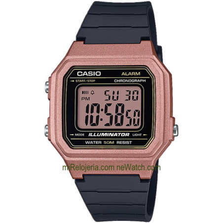 Básico de Caballero