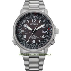 Pilot World Perpetual A-T Radio Controlado