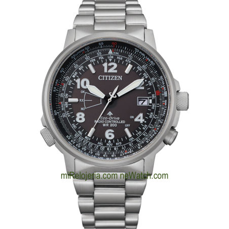 Pilot World Perpetual A-T Radio Controlado