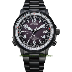 Pilot World Perpetual A-T Radio Controlled