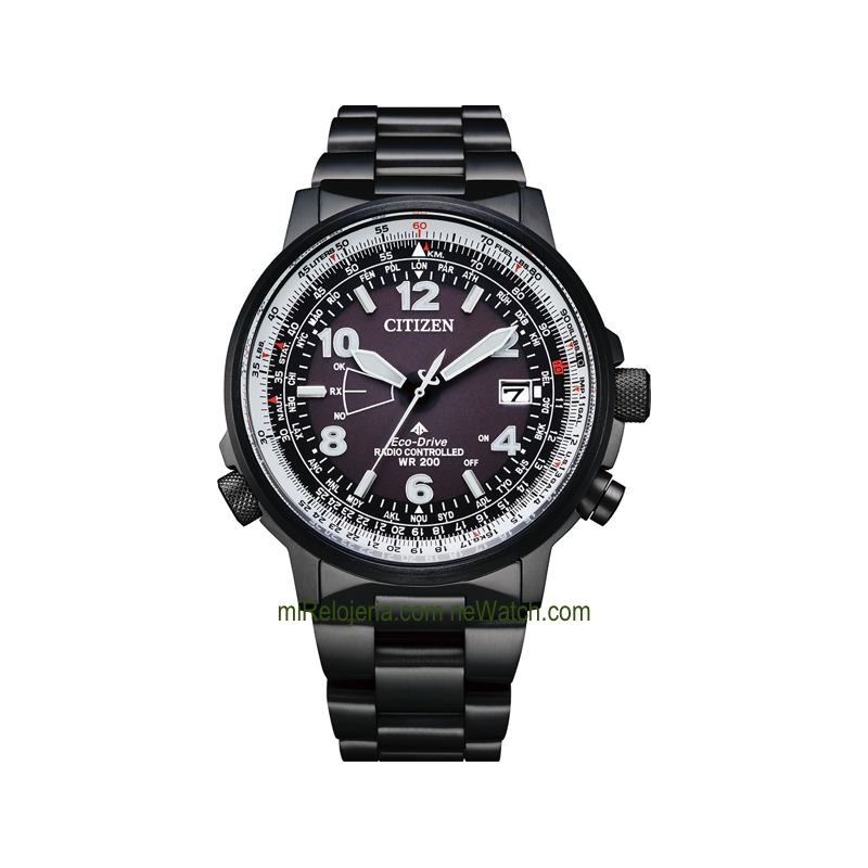 Pilot World Perpetual A-T Radio Controlado