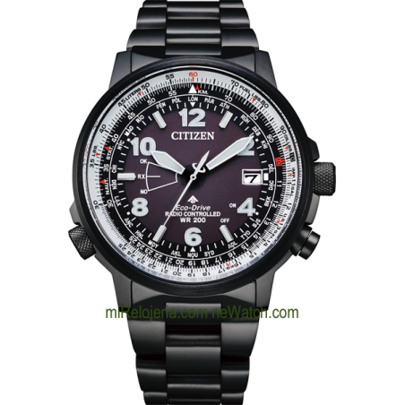 Pilot World Perpetual A-T Radio Controlado