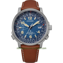 Pilot World Perpetual A-T Radio Controlado