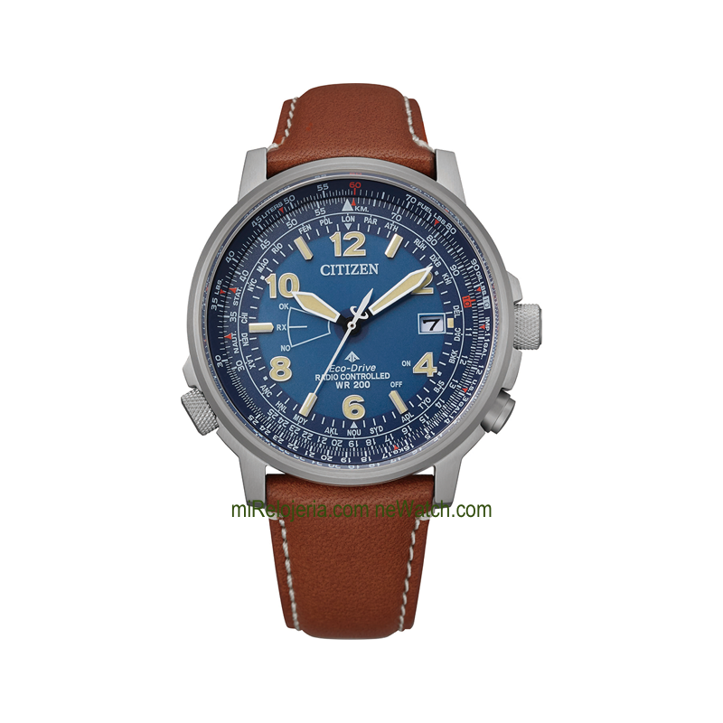 Pilot World Perpetual A-T Radio Controlado