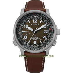 Pilot World Perpetual A-T Radio Controlado