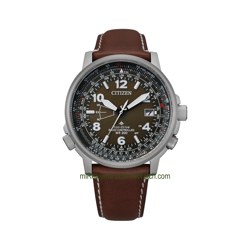 Pilot World Perpetual A-T Radio Controlado