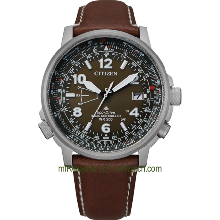 Pilot World Perpetual A-T Radio Controlado