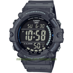 Men's Standard 10 years