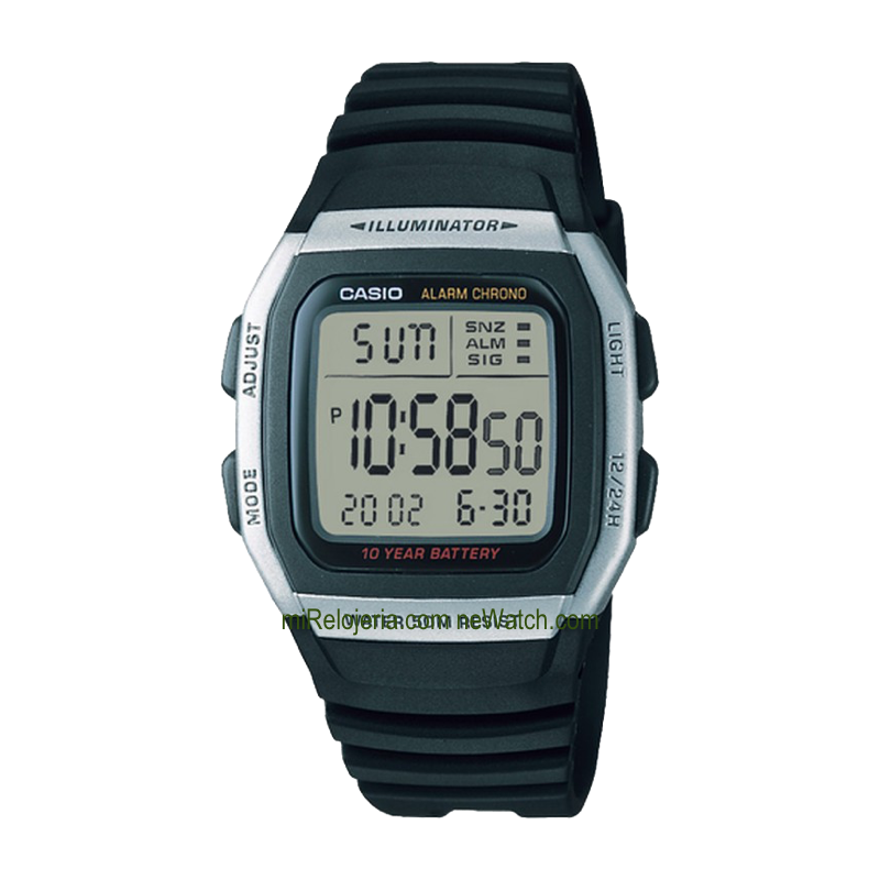 Básico de Caballero 50m