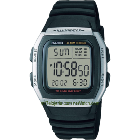 Básico de Caballero 50m