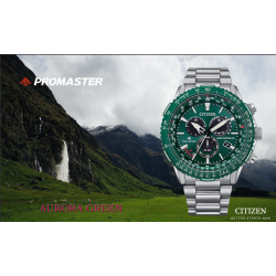 The Pilot Promaster Eco-Drive Radio Controlado