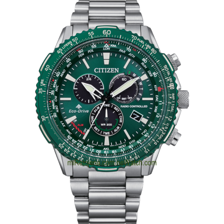 The Pilot Promaster Eco-Drive Radio Controlado