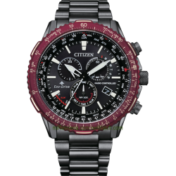 The Pilot Promaster Eco-Drive Radio Controlado