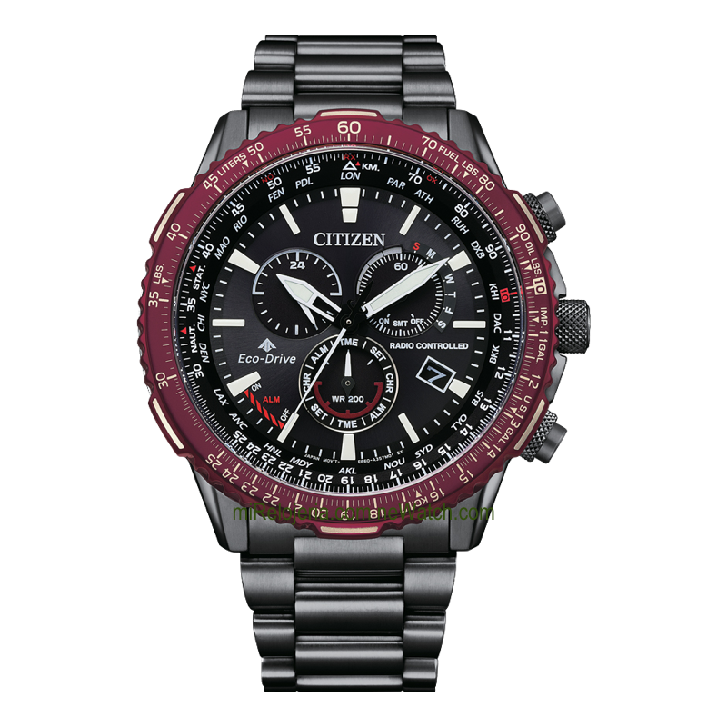 The Pilot Promaster Eco-Drive Radio Controlado