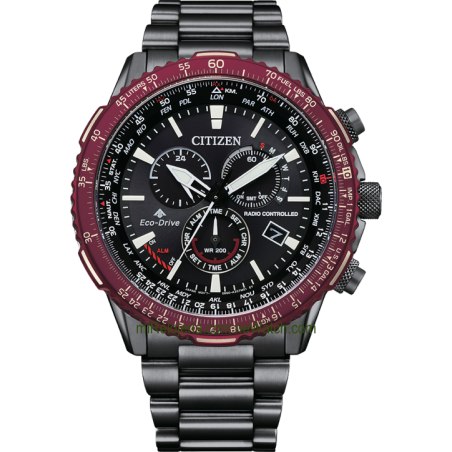 The Pilot Promaster Eco-Drive Radio Controlado