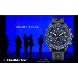 The Pilot Promaster Radio Controlled