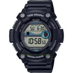 Tide Graph & Moon Phase