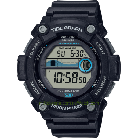 Tide Graph & Moon Phase