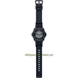 Tide Graph & Moon Phase