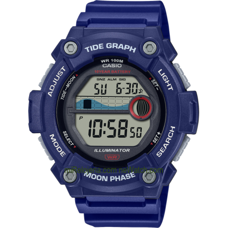 Tide Graph & Moon Phase