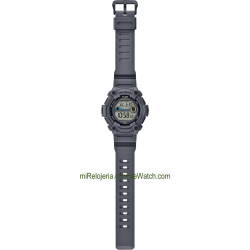 Tide Graph & Moon Phase