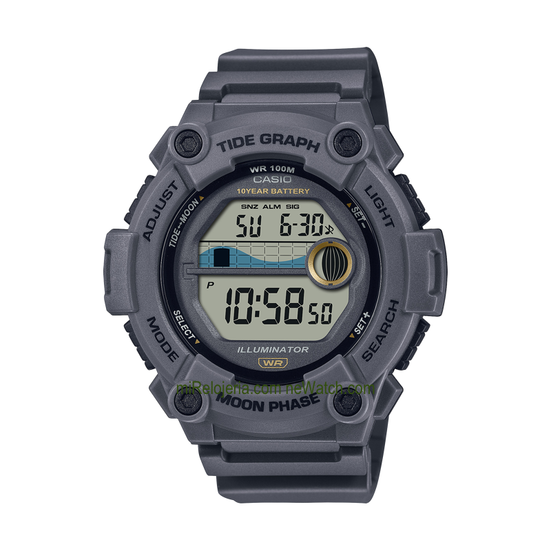 Tide Graph & Moon Phase