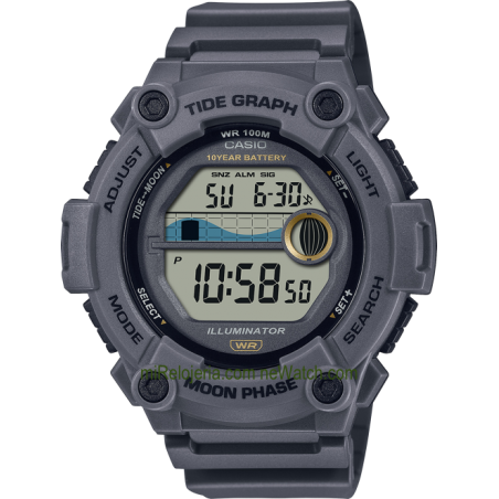 Tide Graph & Moon Phase