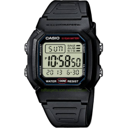 Men's Standard 10 years