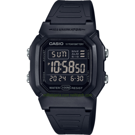 Men's Standard 10 years