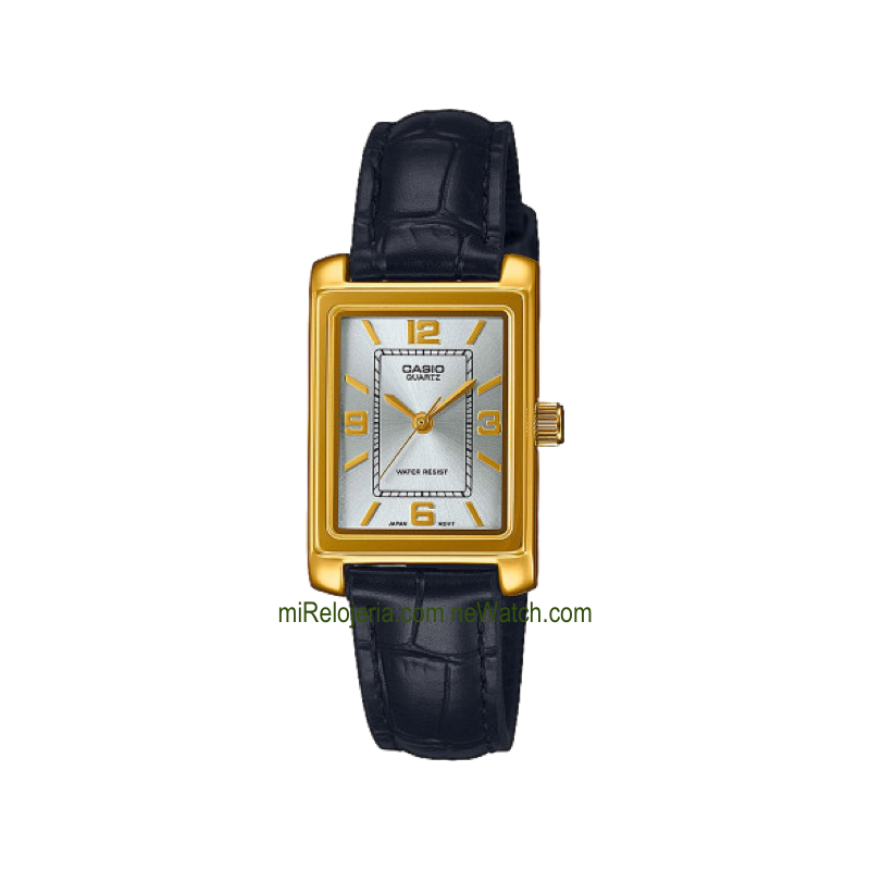 Casio Collection Gold plated