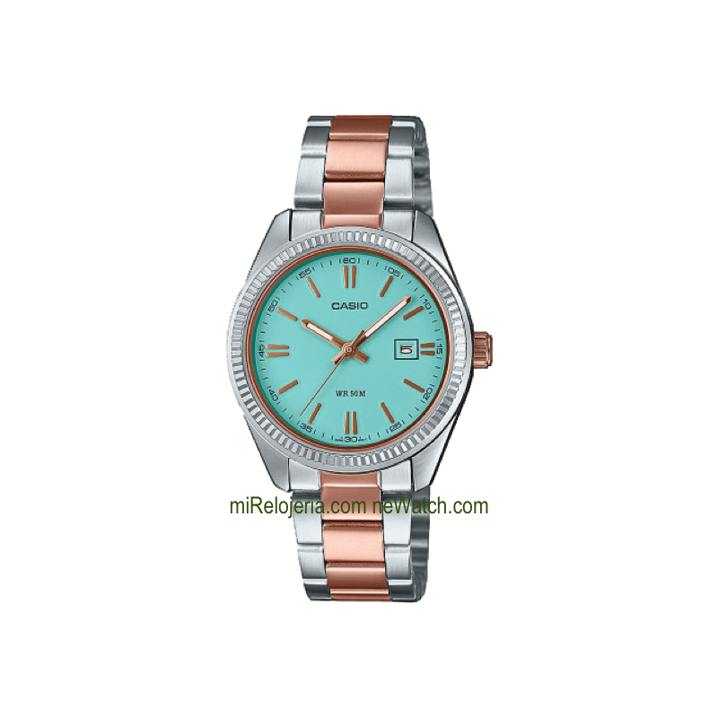 Casio Collection Analógico